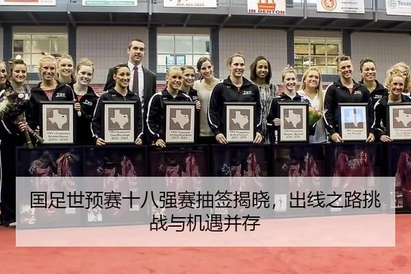 guo-zu-shi-yu-sai-shi-ba-qiang-sai-chou-qian-jie-xiao-chu-xian-zhi-lu-tiao-zhan-yu-ji-yu-bing-cun-2-270.jpg