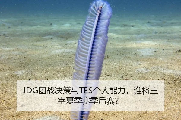 JDG团战决策与TES个人能力，谁将主宰夏季赛季后赛？