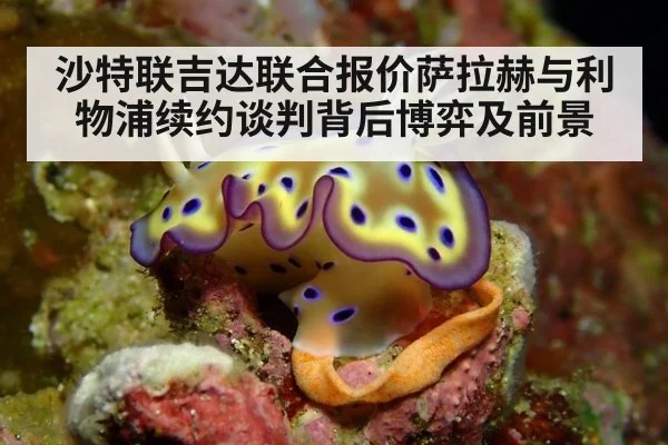 沙特联吉达联合报价萨拉赫与利物浦续约谈判背后博弈及前景